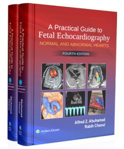 A Practical Guide to Fetal Echocardiography: Normal and Abnormal Hearts (4th Edition)-2022