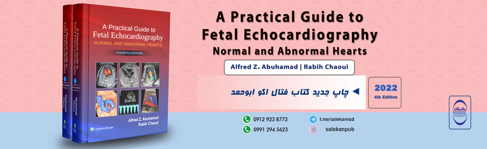 A Practical Guide to Fetal Echocardiography: Normal and Abnormal Hearts (4th Edition)