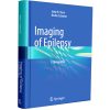 Imaging of Epilepsy: A Clinical Atlas