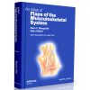 An Atlas of Flaps of the Musculoskeletal System