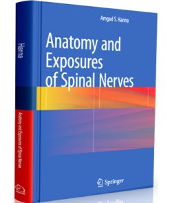 Anatomy and Exposures of Spinal Nerves