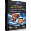Advanced Topics on Three-Dimensional Ultrasound in Obstetrics and Gynecology