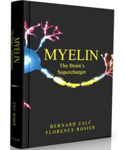 Myelin - The Brain’s Supercharger