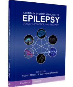 A Complex Systems Approach to Epilepsy Concept, Practice, and Therapy