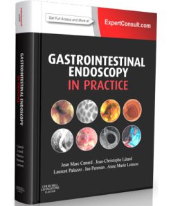 Gastrointestinal endoscopy in practice