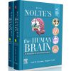 Nolte’s The Human Brain