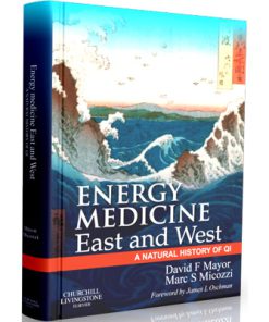 Energy Medicine East and West: a natural history of qi